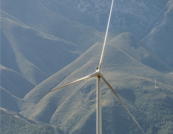 Imagem ilustrativa de Consultoria Ambiental