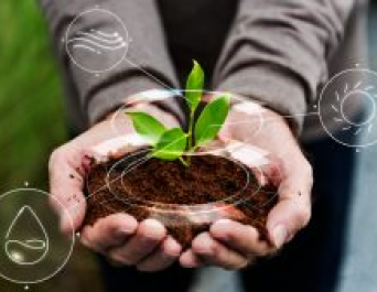 Imagem ilustrativa de Gestão Ambiental